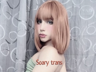 Soary_trans