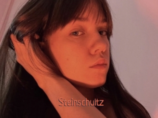 Steinschultz