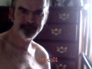Stewco01