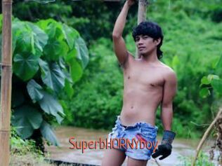 SuperbHORNYboy