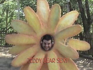 TEDDY_BEAR_SEXY