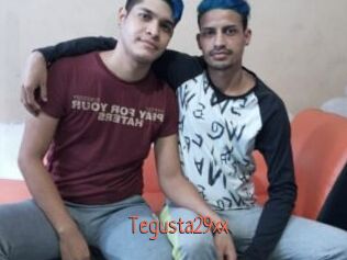Tegusta29xx
