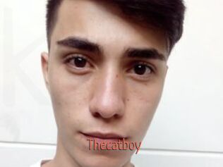 Thecatboy