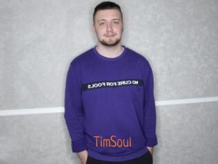 TimSoul