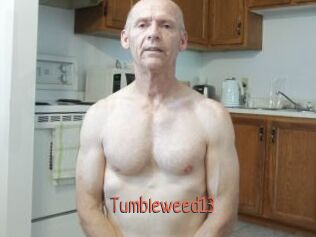 Tumbleweed13