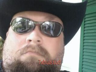 Txbullstud