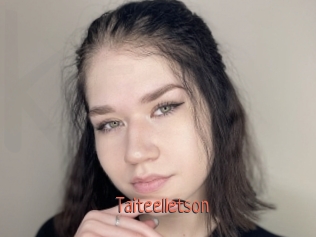 Taiteelletson