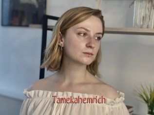 tamekahemrich Kachou Fuzoku