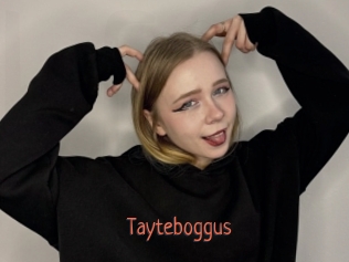 Tayteboggus