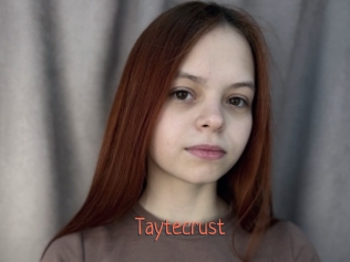 taytecrust Kachou Fuzoku