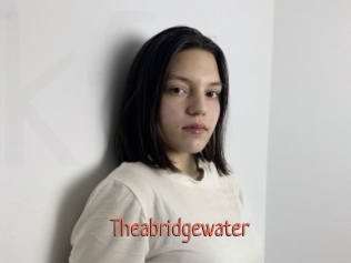 Theabridgewater