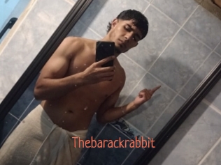 Thebarackrabbit