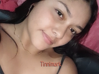 Tinnimark