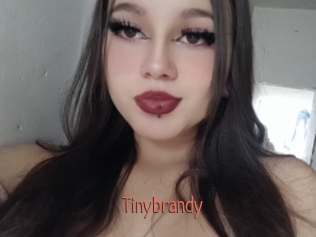 Tinybrandy