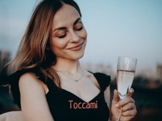 toccami Kachou Fuzoku