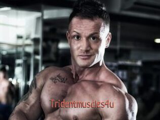 Tridentmuscles4u