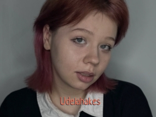 Udelahakes