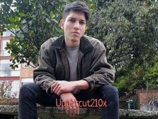 Uppercut210x