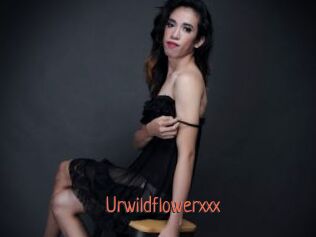 Urwildflowerxxx