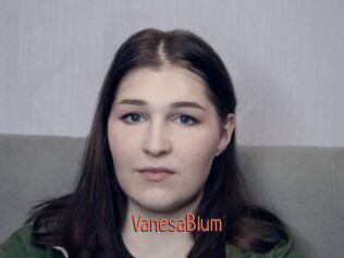 VanesaBlum Kachou Fuzoku