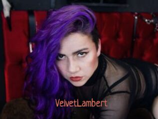 VelvetLambert