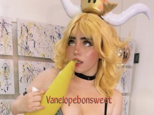Vanelopebonsweet