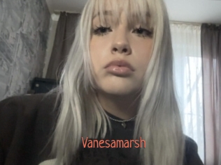 Vanesamarsh