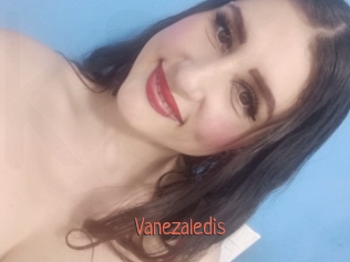 vanezaledis Kachou Fuzoku