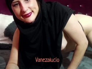 vanezalucio Kachou Fuzoku