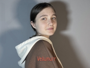 vellumurr Kachou Fuzoku