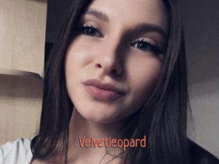 Velvetleopard