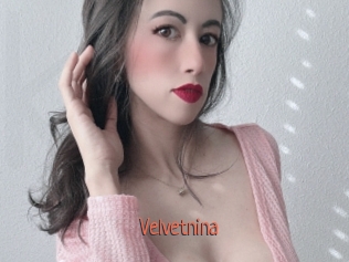 velvetnina Kachou Fuzoku