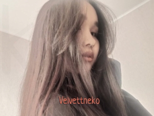 Velvettneko