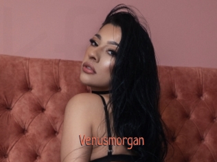 Venusmorgan