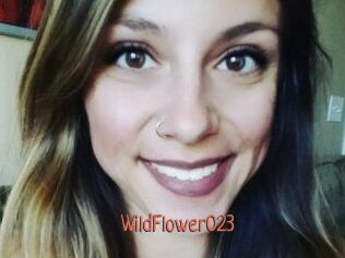 WildFlower023