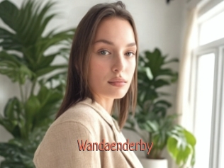 Wandaenderby