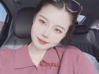 Wanghuiii