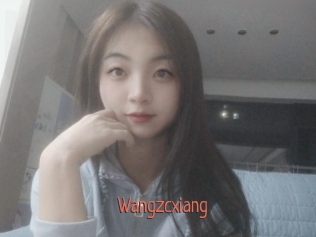 Wangzcxiang