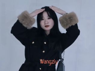 Wangziy