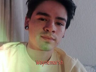 Waynemarsh