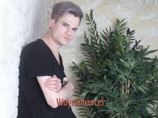 Waynemaster