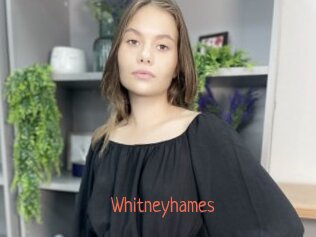 whitneyhames Kachou Fuzoku