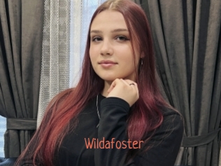 wildafoster Kachou Fuzoku