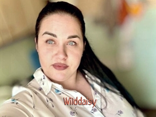 Wilddaisy