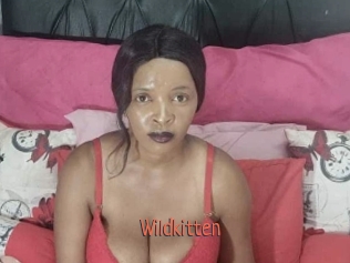 Wildkitten