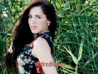 Wildredflower