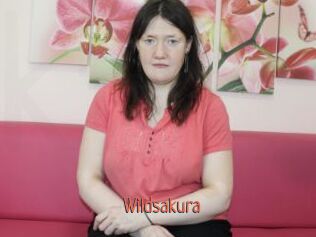 wildsakura Kachou Fuzoku
