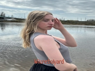 Wilonebolyard