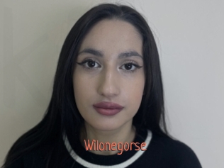 Wilonegorse