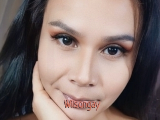 Wilsongay
